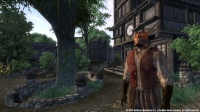 Oblivion screenshot